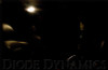 Diode Dynamics 39mm HP6 LED Bulb LED - Cool - White (Single) - DD0313S
