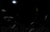 Diode Dynamics 39mm HP6 LED Bulb LED - Cool - White (Single) - DD0313S