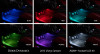 Diode Dynamics RGBW Footwell Strip Kit 4pc Multicolor - DD0443