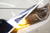 Diode Dynamics 2016 Nissan Maxima SB DRL LED Boards - DD2013 User 1