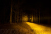 Diode Dynamics 6 In LED Light Bar - Amber Flood Stealth (Single) - DD6040S