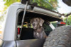 DV8 Offroad 2021-2024 Ford Bronco Dog Barrier - MPBR-10 Photo - out of package