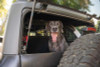 DV8 Offroad 2021-2024 Ford Bronco Dog Barrier - MPBR-10 Photo - out of package