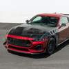 EOS Primed Black Hood - GTD Style - 2024+ Ford Mustang (HOOD-1015-ALU)