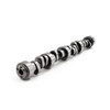BTR Stage 2 V2 Camshaft - LS1 / LS2 (BTRLS1CAMSTG2)
