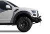 Addictive Desert Designs 17-18 Ford F-150 Raptor HoneyBadger Front Bumper w/ Winch Mount - F117382860103