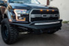 Addictive Desert Designs 17-18 Ford F-150 Raptor HoneyBadger Front Bumper - F117432860103