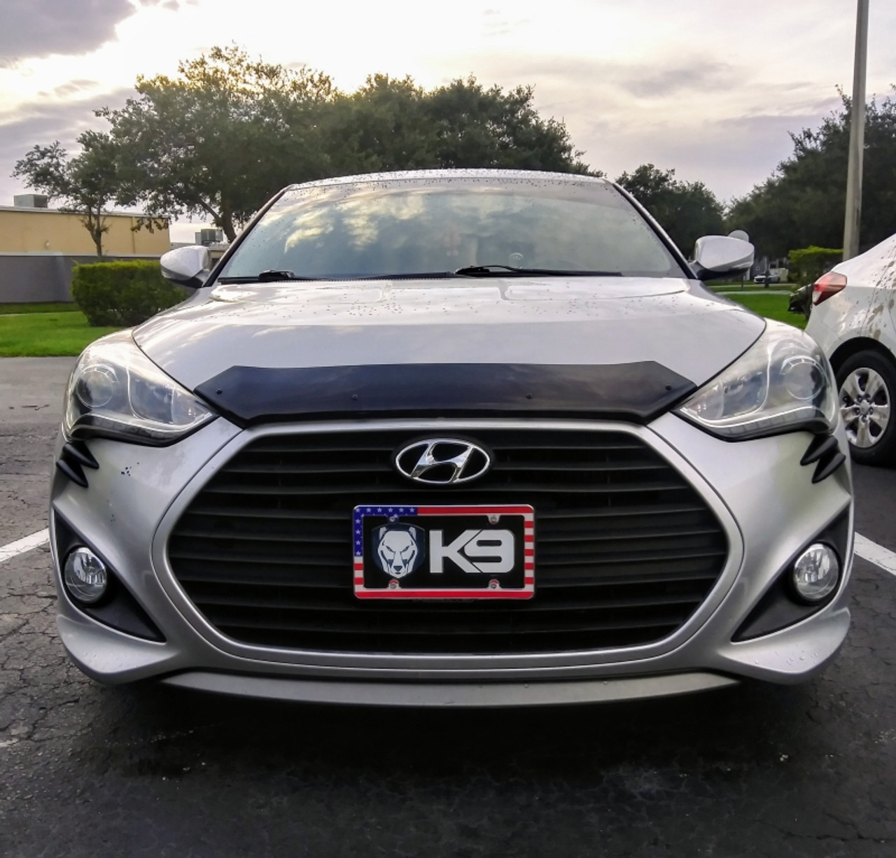 EGR 12+ Hyundai Veloster Superguard Hood Shield (308271) - 308271