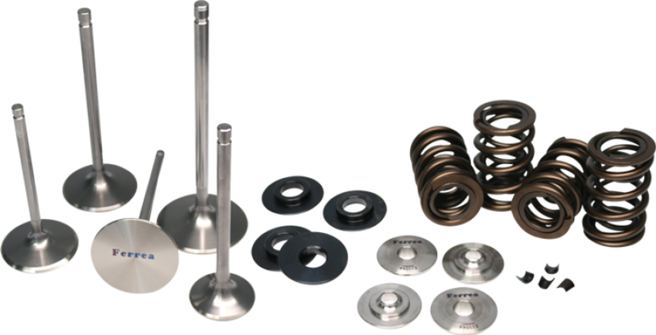 Ferrea Subaru WRX STI Turbo Dual Spring Kit - KT4019