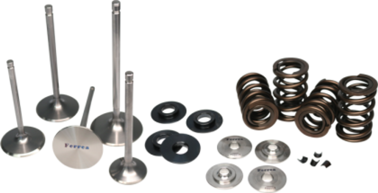 Ferrea 2014 Polaris RZR XP 1000 Valve Spring Kit - KT9017