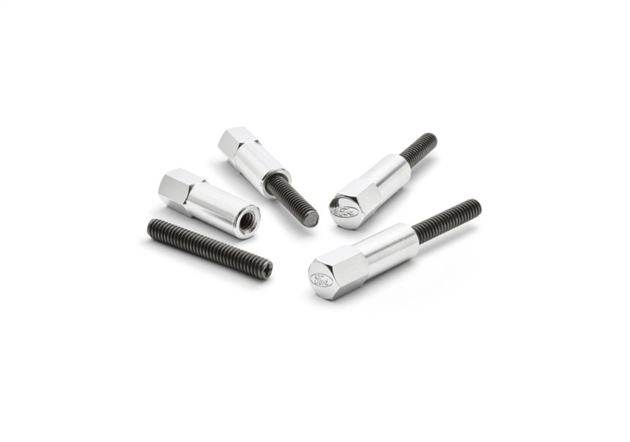Ford Racing Valve Cover Hold Down Mini-Nuts - Chrome - 302-315