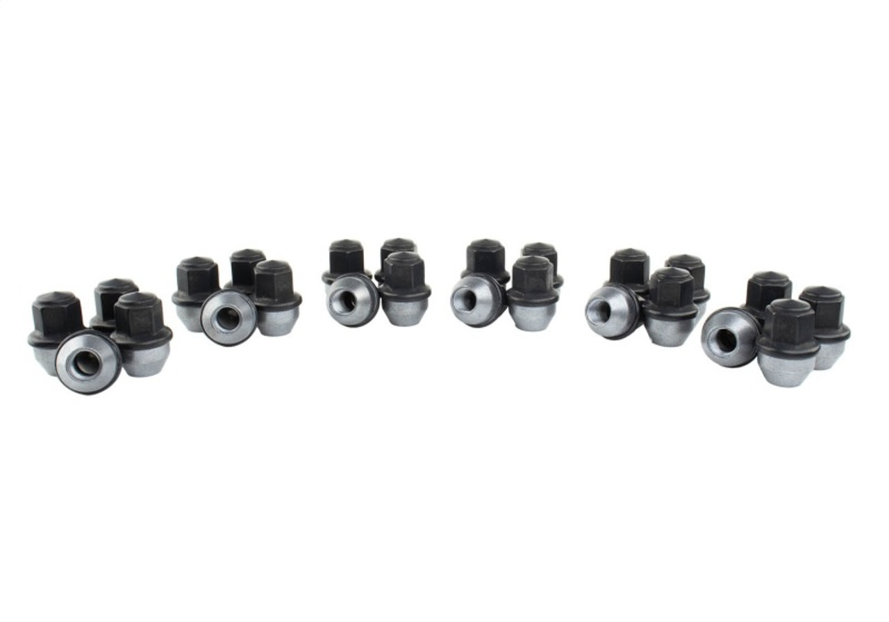 Ford Racing M14 x 1.5 Black Lug Nut - Set of 24 - M-1012K-F15B