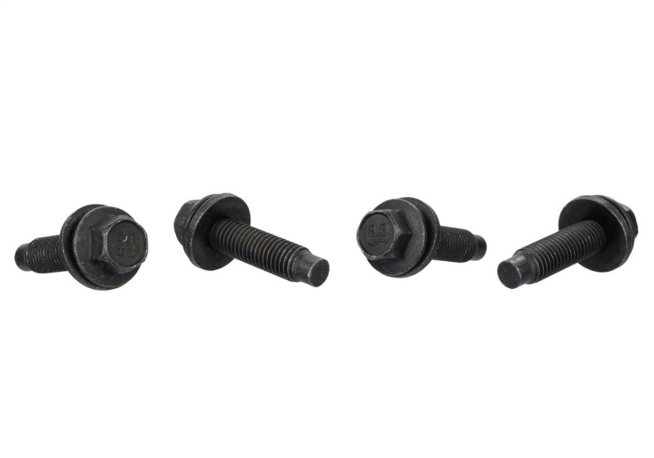 Ford Racing FPP Bead Lock Ring Bolt Kit - M-503317K-BOLT