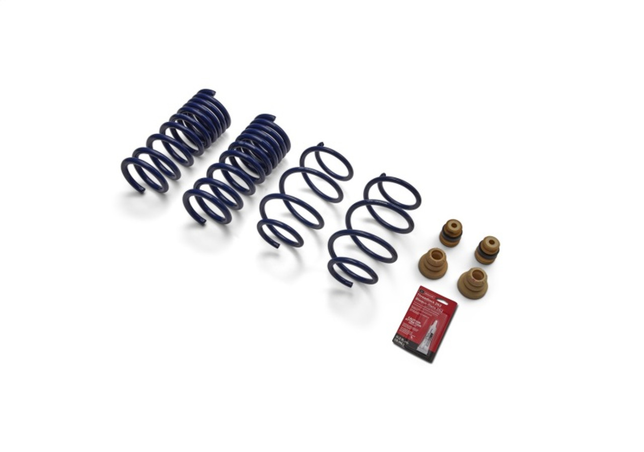 Ford Racing 15-19 Mustang (w/o MagneRide) Street Lowering Spring Kit - M-5300-XA