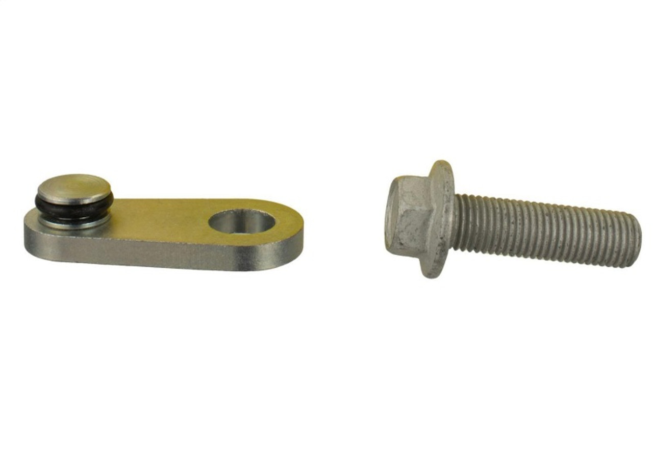 Ford Racing Mustang 2.0L/2.3L EcoBoost Balance Shaft Block-Off Plug - M-6026-23BSBP