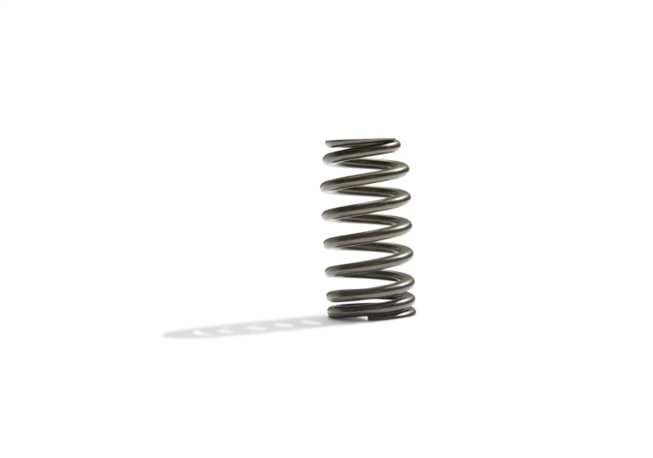 Ford Racing BOSS 302R Valve Spring Kit - M-6513-M50BR