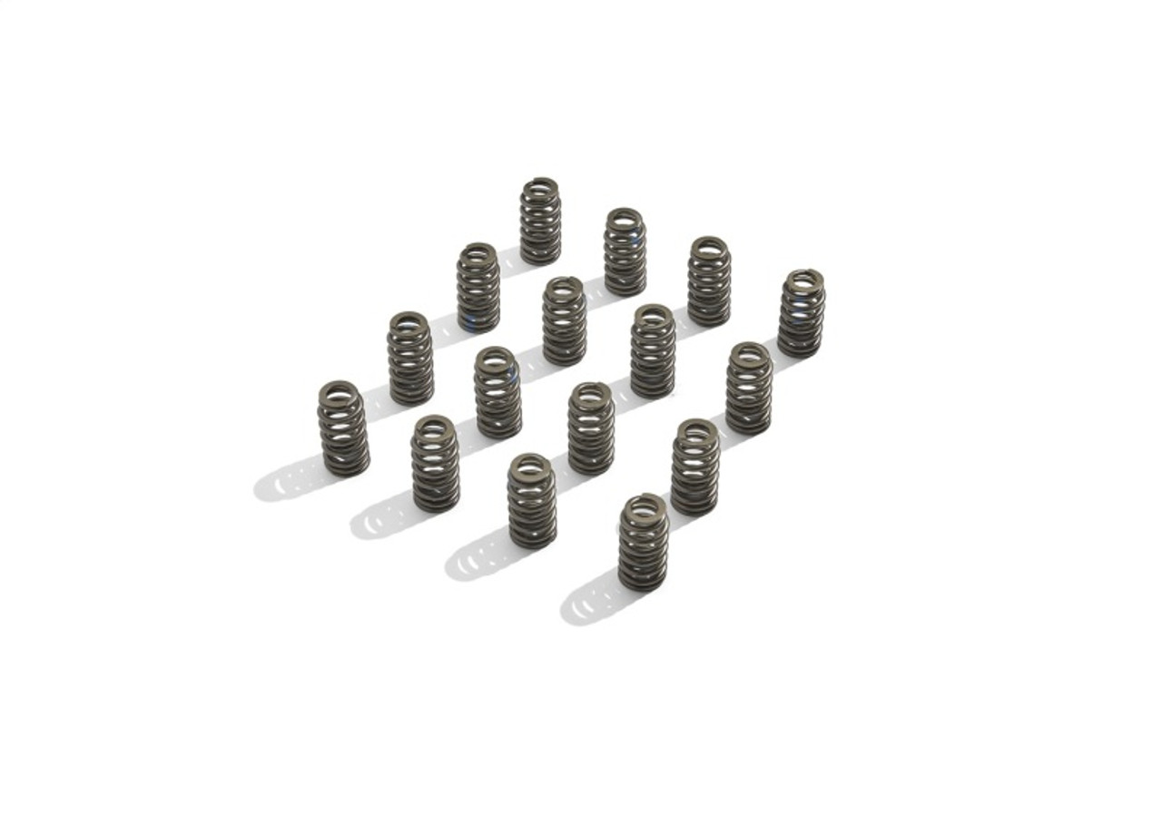 Ford Racing BOSS 302R Valve Spring Kit - M-6513-M50BR