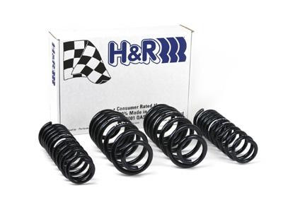 H&R 96-01 Audi A4 Quattro (AWD) B5 Sport Spring - 50396 Photo - Primary