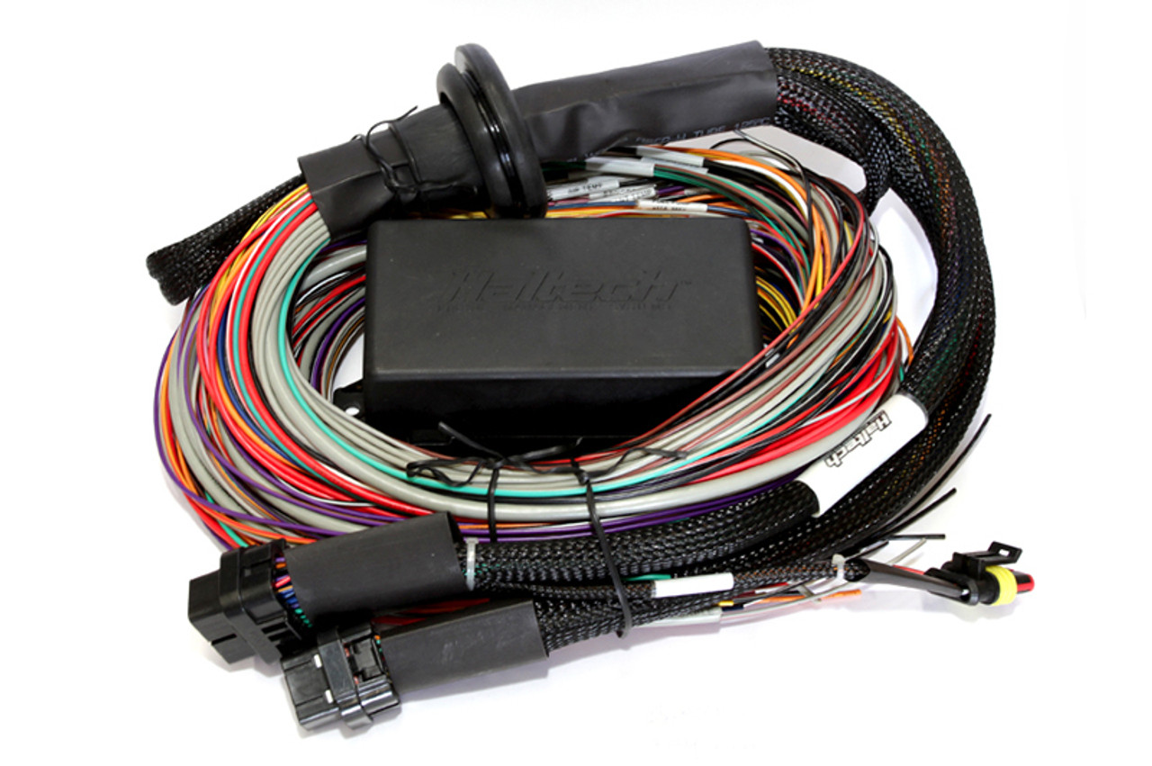 Haltech Elite 2500/2500 T Premium Universal Wire-In Harness - 2.5m (8ft) - HT-141304