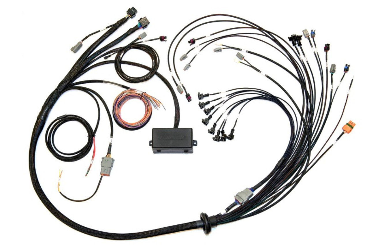 Haltech Elite 2000/2500 Terminated Harness w/EV1 Inj Connectors - HT-141376