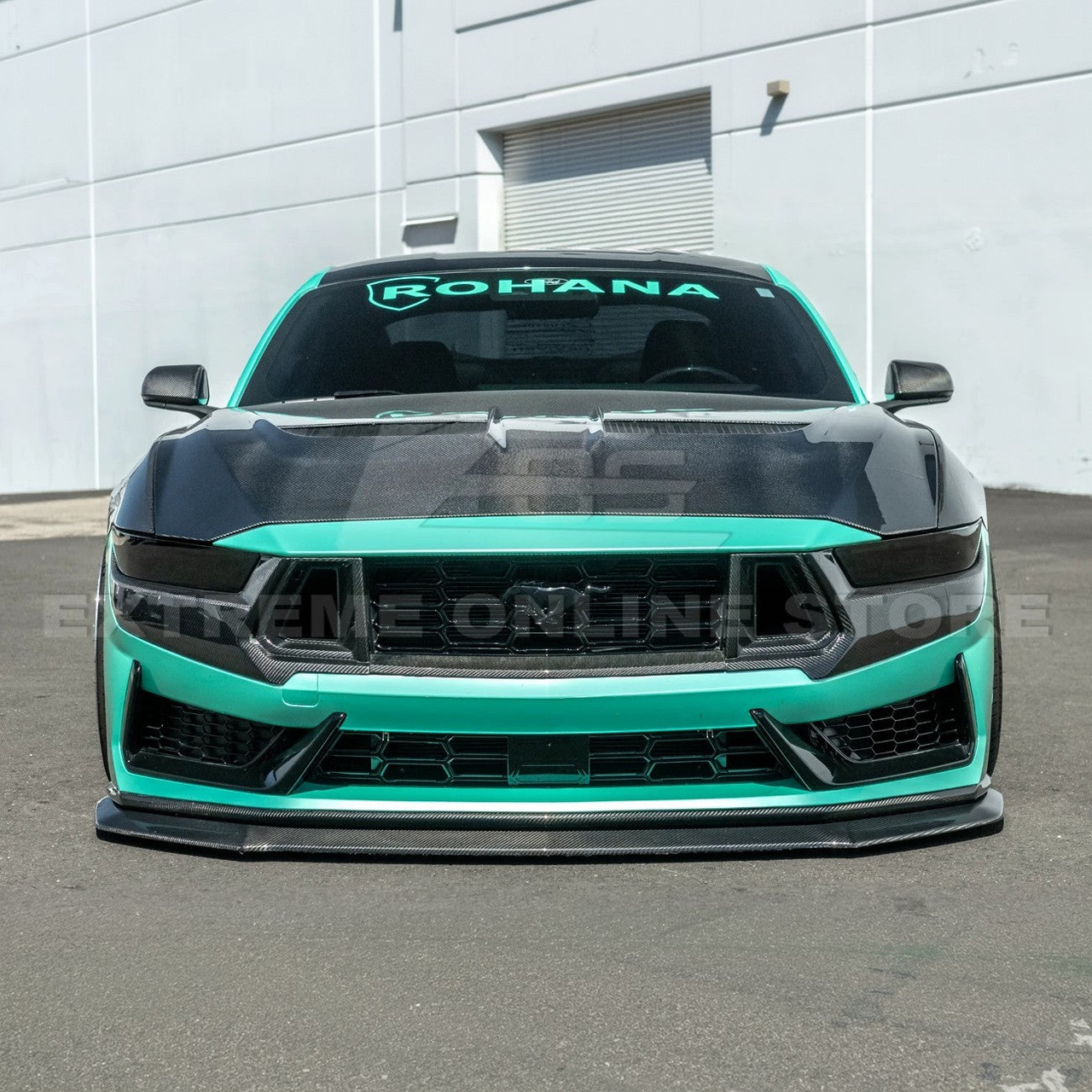 EOS Carbon Fiber Middle Grille Trim - 2024+ Ford Mustang Dark Horse (VENT-1240-BKCF)