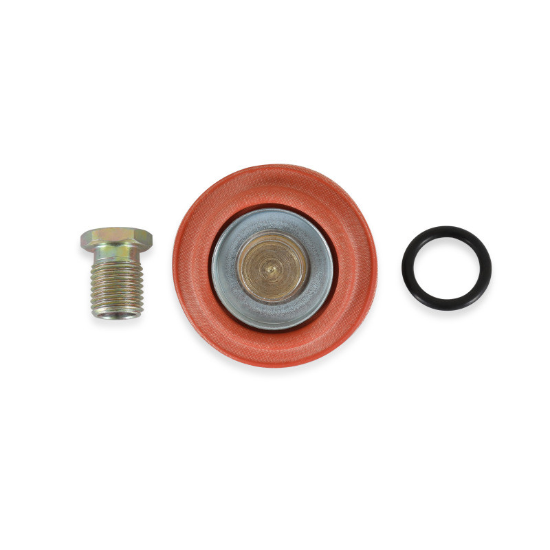 AEM Universal Fuel Pressure Regulator Rebuild Kit - 25-392