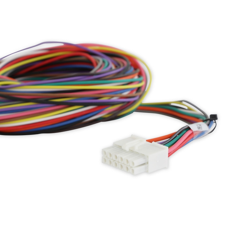 AEM Wiring Harness for V2 Controller w/ Multi Input - 30-3324