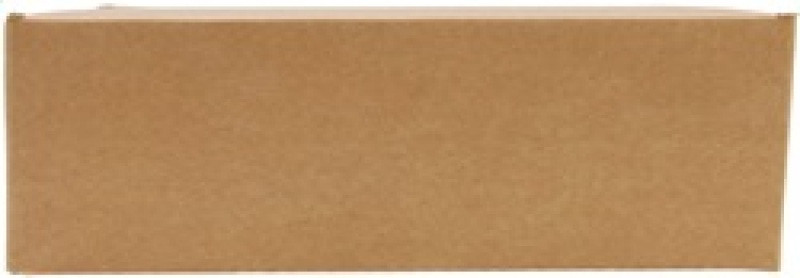 AEM Nissan Frontier/Pathfinder/Xterra Polished Brute Force Air Intake - 21-8504DP