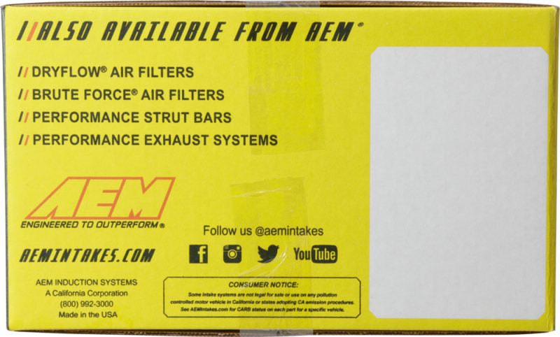 AEM 92-95 Civic DX/LX/EX/SI/ 96-00 Civic EX/ 93-95 Del Sol S/ 93-97 Del Sol Si Polished Short Ram In - 22-401P