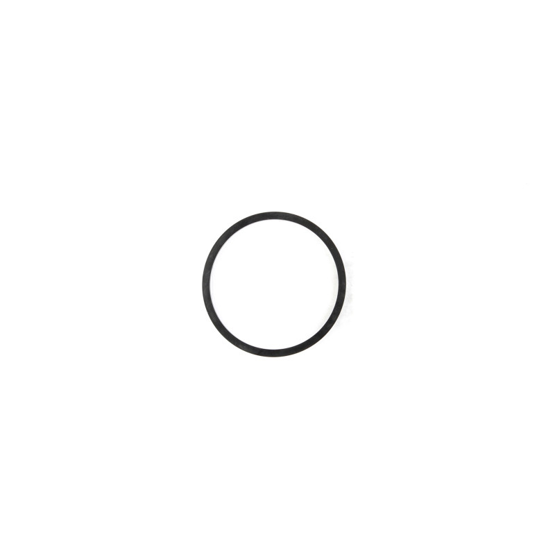 Cometic 83-97 Dodge Cummins 3.9/5.9L Diesel Water Pump Mounting O-Ring - C15065