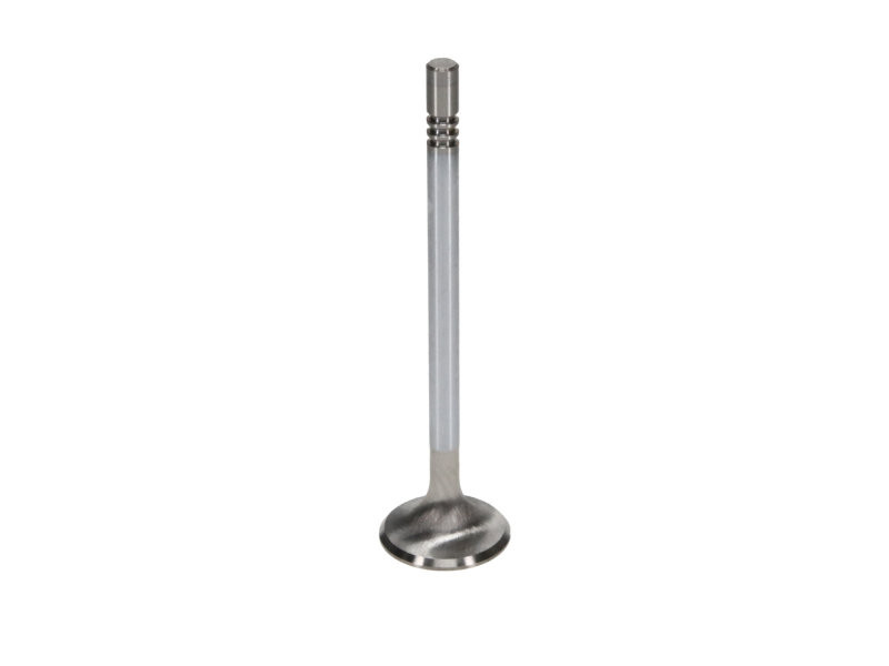 Manley Ford Coyote 5.0L DOHC Race Master 32mm Head 5.96mm Stem 4.274 Length (Set of 8) - 11627-8