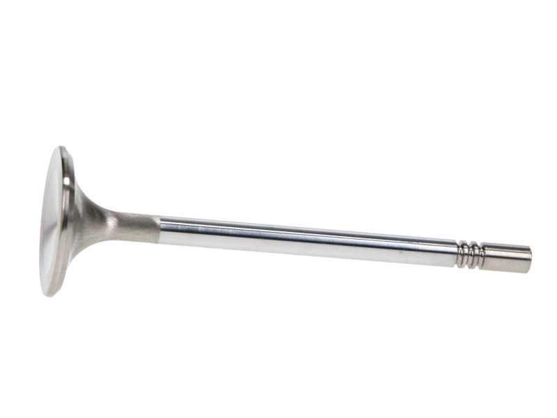 Manley Ford Racing Cylinder Head 4.6L & 5.4L SOHC 36.0mm Race Master Exhaust Valves *Set of 8* - 11637-8