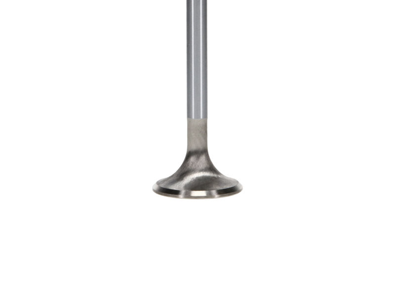 Manley 99-12 Ford 4.6L/281 5.4L/330 V8 37mm Race Series Stainless Steel Intake Valves (Set of 8) - 11639-8