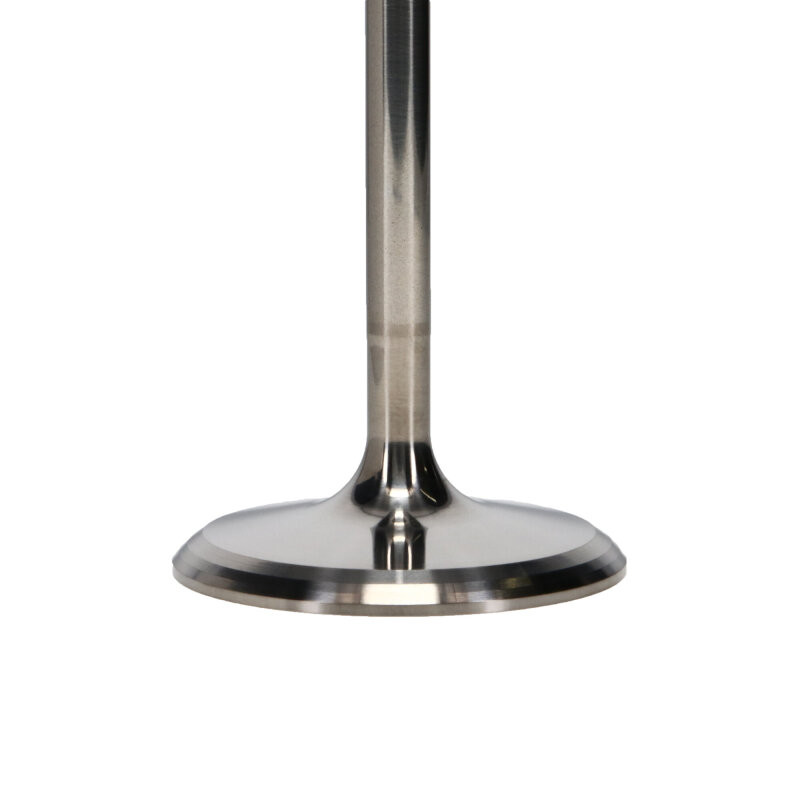 Manley Titanium intake Valve Kit - Big Block Chevrolet - Brodix SR20 - Dart 20 Degree - 12208HTB-8