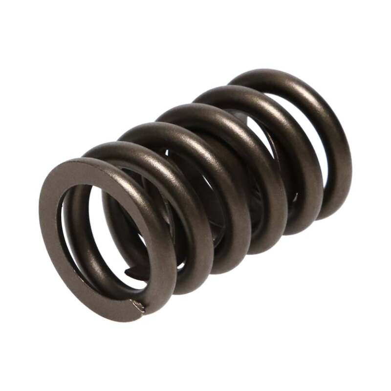 Manley Valve Spring, SPRING-1.250 SINGLE - 22409-16