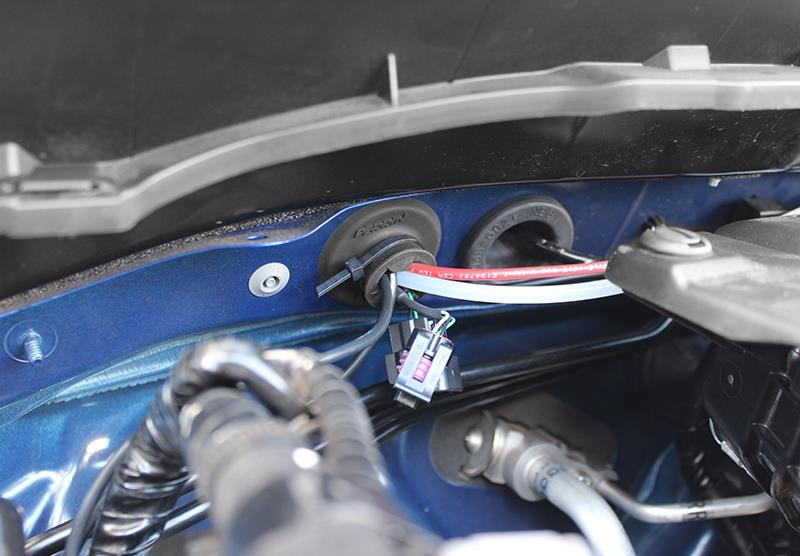 PERRIN Subaru WRX 15-21 / Universal Fire Wall Grommet - 1.4in. - ASM-GAU-120 Photo - Primary