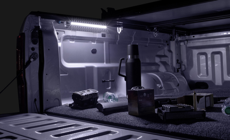 Access Accessories 12in LED Strip Light - 1 Single Pack - 70380