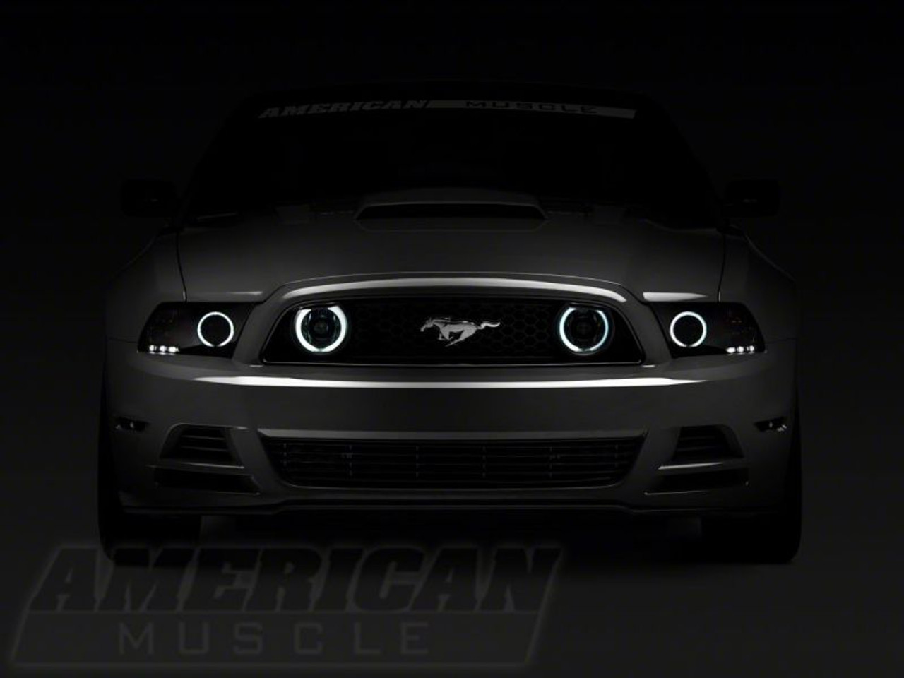 Raxiom 13-14 Ford Mustang GT CCFL Halo Fog Lights- Chrome - 49176