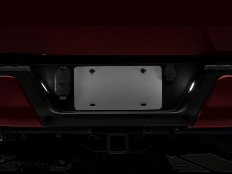 Raxiom 07-14 Ford F-150 Axial Series LED License Plate Lamps- Smoked - T549999