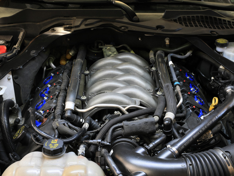 aFe 11-16 Ford Mustang GT / 11-16 Ford F150 SCORCHER High-Performance Ignition Coil Single - 77-92011