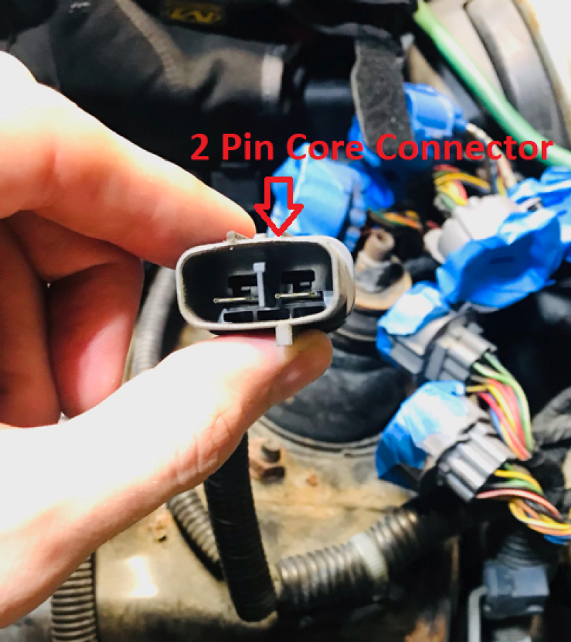 Rywire 97-01 Honda Prelude (Auto) Chassis Specific Adapter (Send Two Pin Core Connector to Rywire) - RY-B-SUB-BB5-AUTO