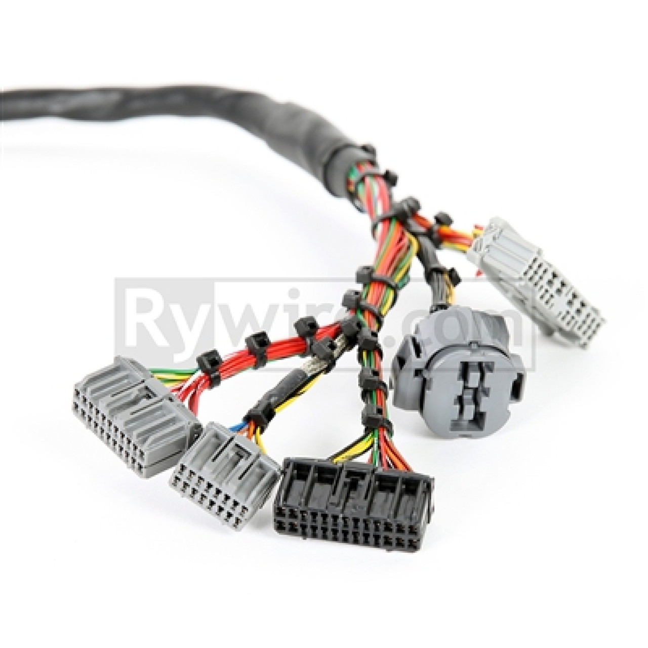 Rywire Honda B-Series Mil-Spec Eng Harness w/OBD2 Dist/Inj/Alt & OBD1 92-95 ECU Plugs (Adapter Req) - RY-B2-MILSPEC