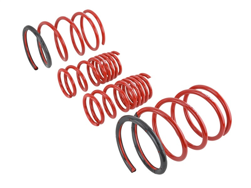 Skunk2 01-05 Honda Civic Lowering Springs (2.25in - 2.00in.) (Set of 4) - 519-05-1570