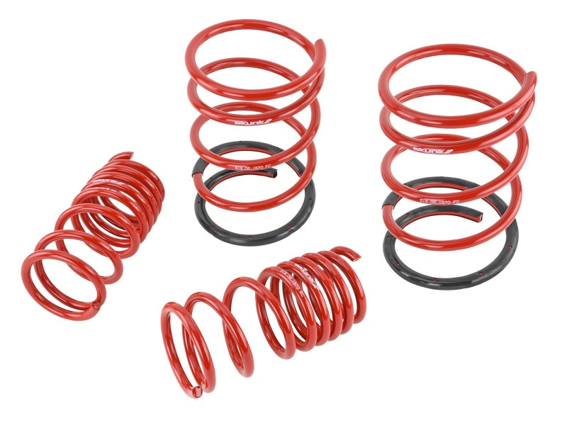 Skunk2 01-05 Honda Civic Lowering Springs (2.25in - 2.00in.) (Set of 4) - 519-05-1570