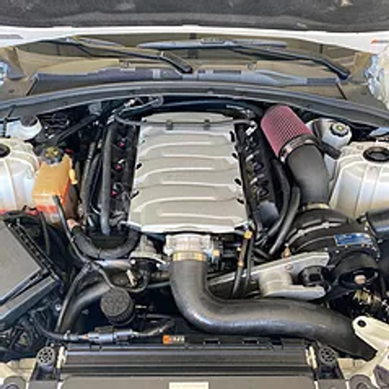 MightyMouse Wild Catch Can Kit - Gen 6 Camaro