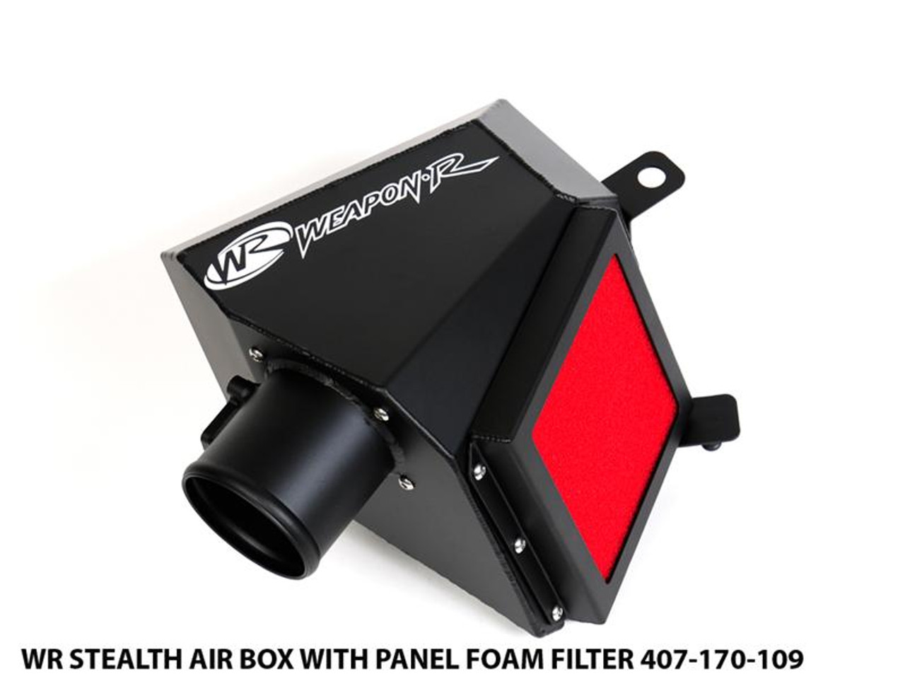 Weapon R 05-09 Ford Mustang GT 4.6L V8 (NSWP) Stealth Air Box - 407-170-109 Photo - Primary
