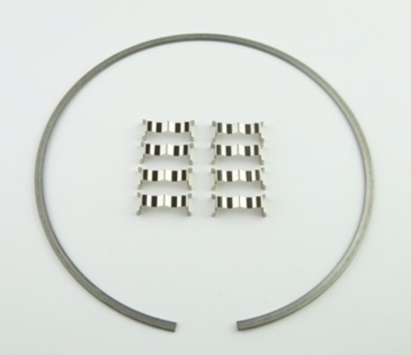 Wilwood Kit Snap Ring (1) and Wear Plates (8) Dynamic Drag Rotor - 300-12561