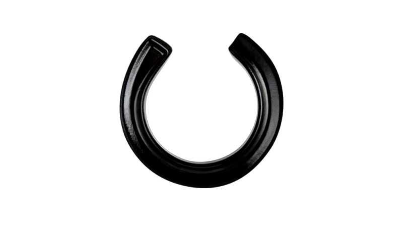 Body Armor 4x4 02-18 Dodge Ram 1500 2WD 2in Coil Spacer Lift Kit - 50205-DG