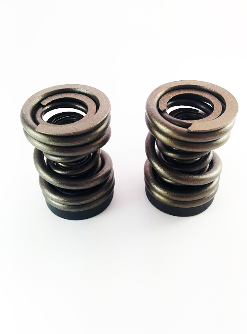 DDP 94-98 Dodge Cummins 5.9L 12V P-Pump 3000 & 4000 RPM Governor Spring Kit - DDP 34KGSK