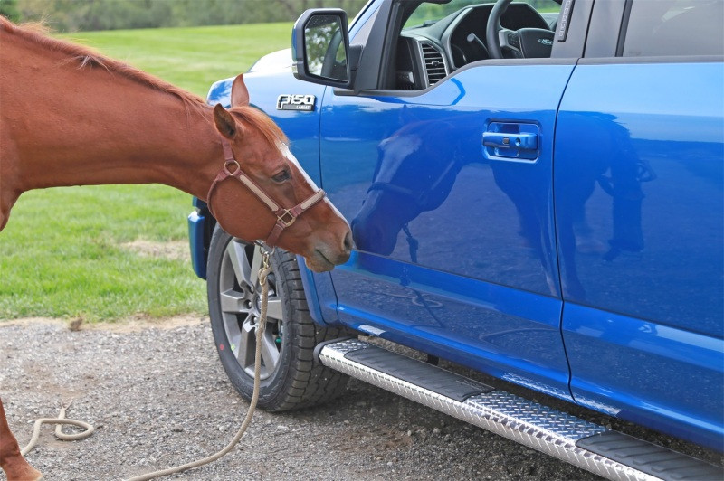 Deezee Universal Tubes - 6In Oval - Brite Tread Aluminum (ExtCab) - DZ16411